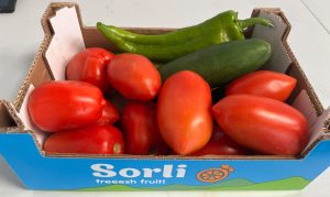 Caja Gazpacho