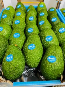 Caja aguacate 4kg