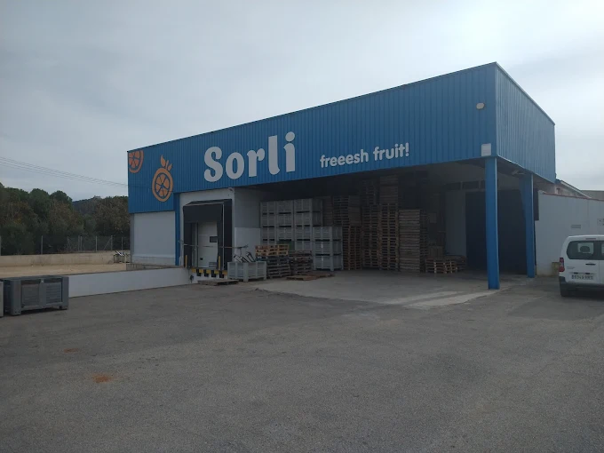 Almacén de Frutas Sorlí en Alcalà de Xivert donde preparamos las cajas
