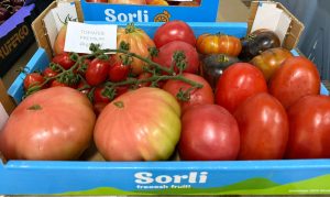 Caja de Tomates Premium