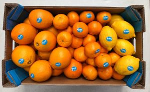 Caja de Cítricos 10 Kg